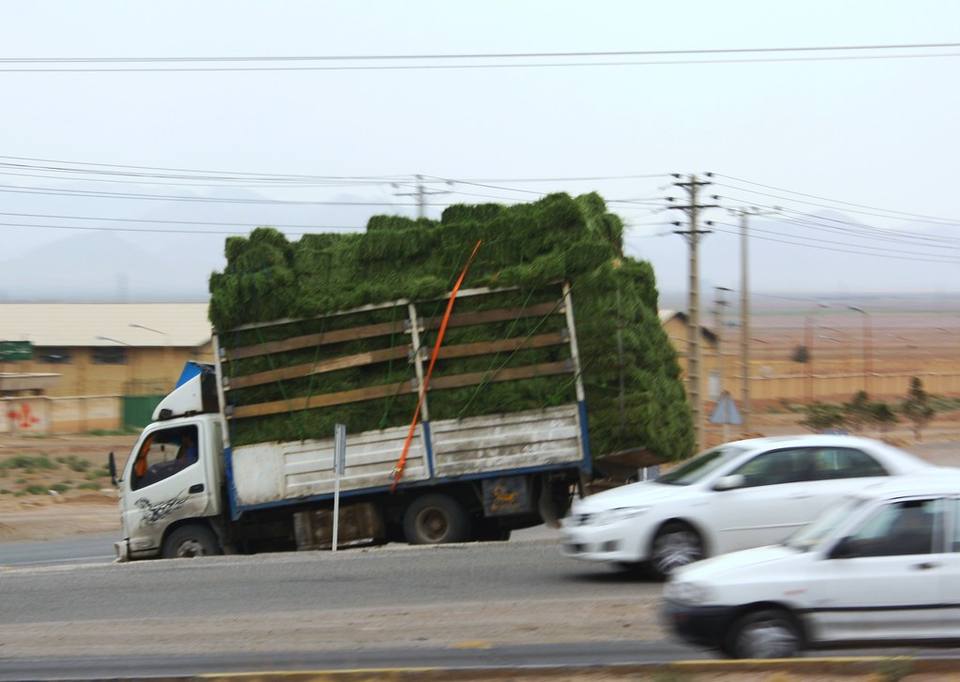 Freight moving by road